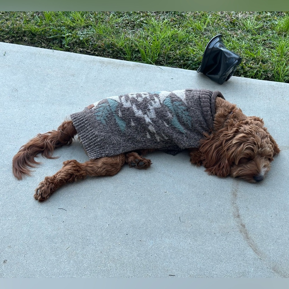 Meet your Posher, Jason